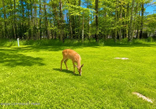 Photo 39 of Single family home for sale at 8940 Deerfield Rd, Tobyhanna, PA 18466 | MLS# PM-142460 | Listing updated on 2026-08-18