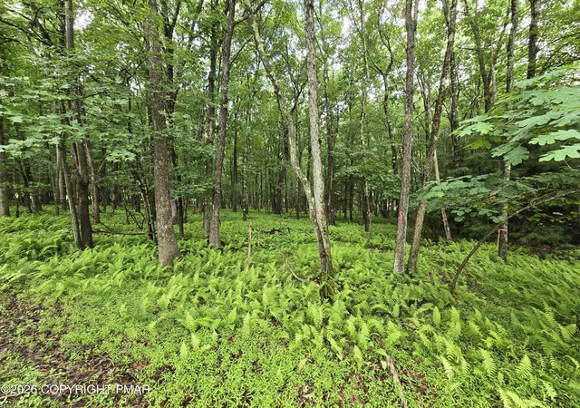 2nd image of 44 Poe Cir, Albrightsville, PA 18210 | MLS# PM-142548