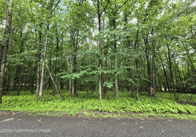 Photo 4 of Land for sale at 44 Poe Cir, Albrightsville, PA 18210 | MLS# PM-142548 | Listing updated on 2026-08-27