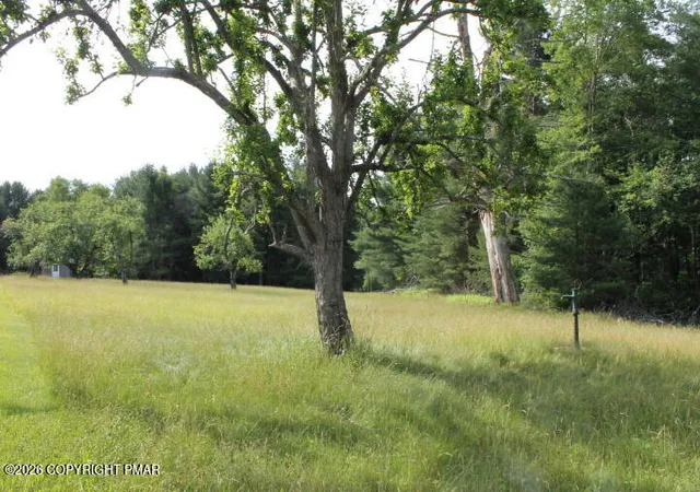 Homes for sale in Thornhurst, PA | Sassafrass Hill Rd, Thornhurst, PA 18424 | MLS# PM-142532