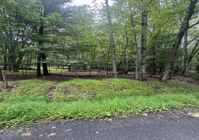3rd image of 306 Lake Dr 306 Dr, Henryville, PA 18332 | MLS# PM-142653
