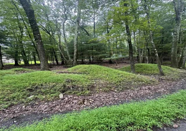 4th image of 306 Lake Dr 306 Dr, Henryville, PA 18332 | MLS# PM-142653