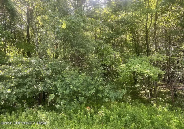 Homes for sale in Long Pond, PA | Sylvester Dr 303 Dr, Long Pond, PA 18334 | MLS# PM-142604