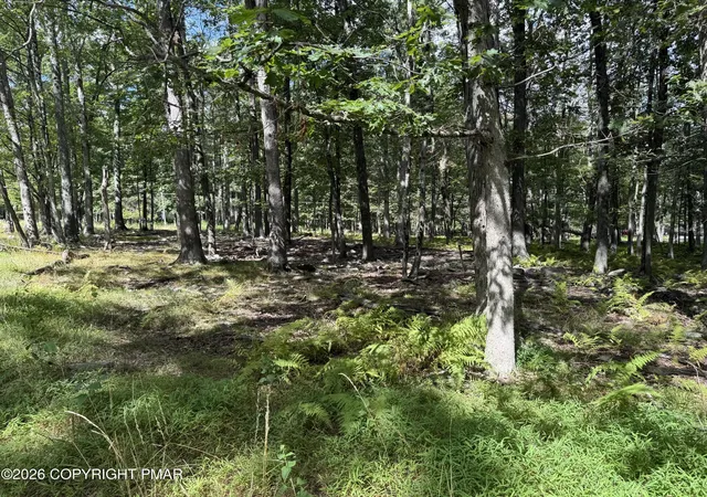 Photo 1 of Land for sale at 1410 Mohawk Trl, Albrightsville, PA 18210 | MLS# PM-142612 | Listing updated on 2026-09-10