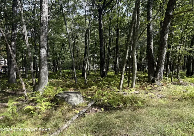 Photo 3 of Land for sale at 1410 Mohawk Trl, Albrightsville, PA 18210 | MLS# PM-142612 | Listing updated on 2026-09-10