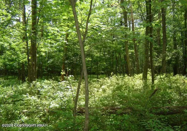 Homes for sale in Covington Township, PA | 132 Delbert Dr, Covington Township, PA 18424 | MLS# PM-142622