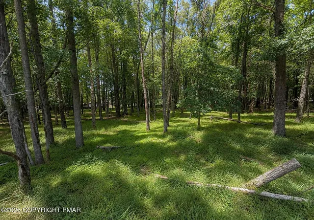 Photo 1 of Land for sale at Mountain Rd Lot 521, Albrightsville, PA 18210 | MLS# PM-142633 | Listing updated on 2026-06-29
