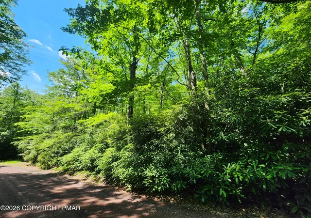 Homes for sale in Jim Thorpe, PA | Lot A48 Rhododendron Rd, Jim Thorpe, PA 18229 | MLS# PM-142637