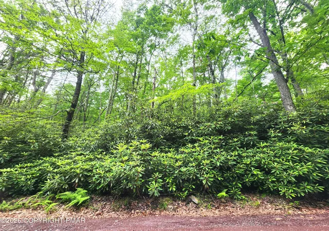 Homes for sale in Jim Thorpe, PA | Lot A48 Rhododendron Rd, Jim Thorpe, PA 18229 | MLS# PM-142637