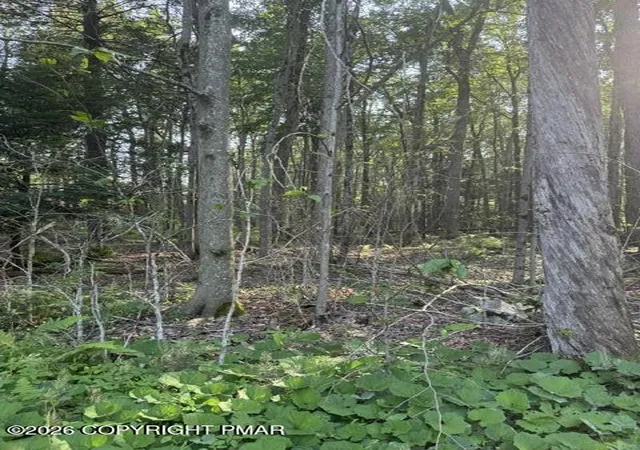 Photo 2 of Land for sale at 15/16 Sweet Briar Rd, Pocono Pines, PA 18350 | MLS# PM-142722 | Listing updated on 2026-07-31