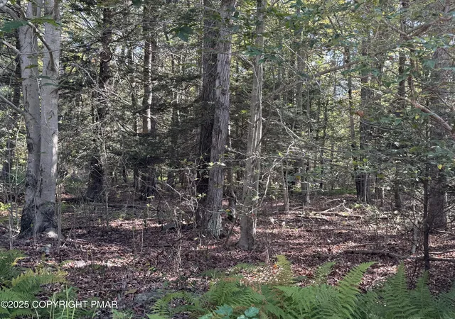 Homes for sale in Blakeslee, PA | 166 George Dr, Blakeslee, PA 18610 | MLS# PM-142796