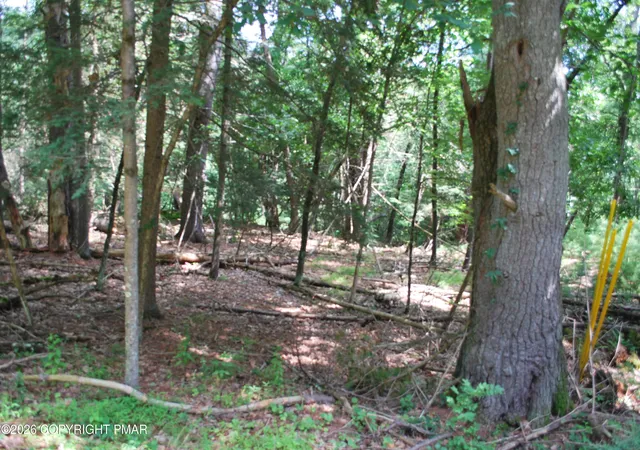 Homes for sale in East Stroudsburg, PA | Lot 54 Stony Hollow Cir, East Stroudsburg, PA 18302 | MLS# PM-142797