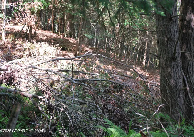 Homes for sale in East Stroudsburg, PA | Lot 54 Stony Hollow Cir, East Stroudsburg, PA 18302 | MLS# PM-142797