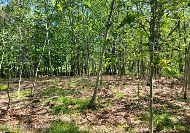 Homes for sale in Tobyhanna, PA | 424 Bumble Bee Wy, Tobyhanna, PA 18466 | MLS# PM-142845