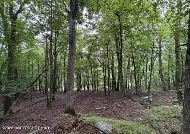 Homes for sale in Nesquehoning, PA | E Diaz Ave, Nesquehoning, PA 18240 | MLS# PM-142848