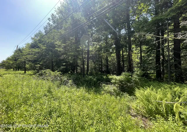 Homes for sale in Pocono Lake, PA | Rt 940 108, Pocono Lake, PA 18347 | MLS# PM-142855