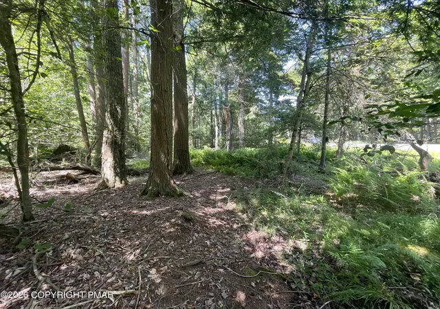 Homes for sale in Pocono Lake, PA | Rt 940 108, Pocono Lake, PA 18347 | MLS# PM-142855
