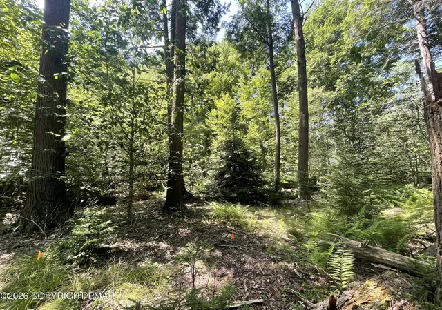 Homes for sale in Pocono Lake, PA | Rt 940 108, Pocono Lake, PA 18347 | MLS# PM-142855