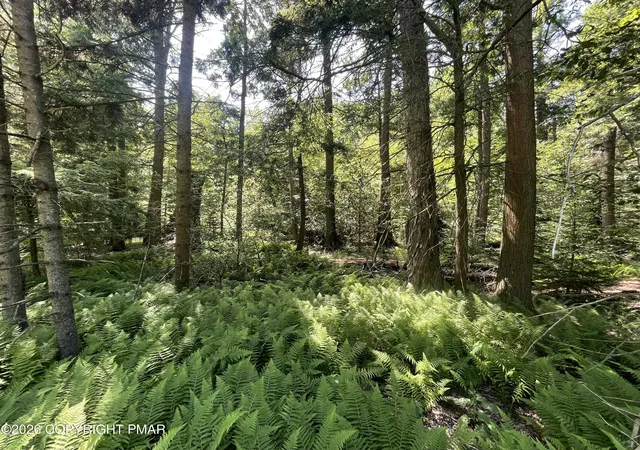 Homes for sale in Pocono Lake, PA | Rt 940 108, Pocono Lake, PA 18347 | MLS# PM-142855