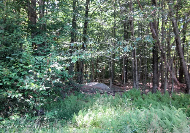 Homes for sale in Pocono Lake, PA | 10 Sheshequin Dr, Pocono Lake, PA 18347 | MLS# PM-142908