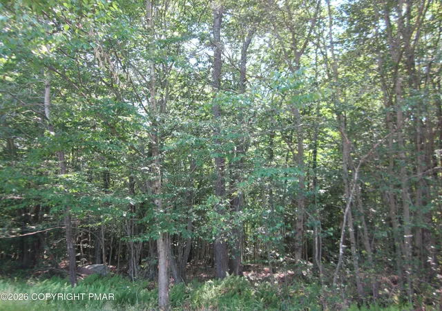 Homes for sale in Pocono Lake, PA | 10 Sheshequin Dr, Pocono Lake, PA 18347 | MLS# PM-142908