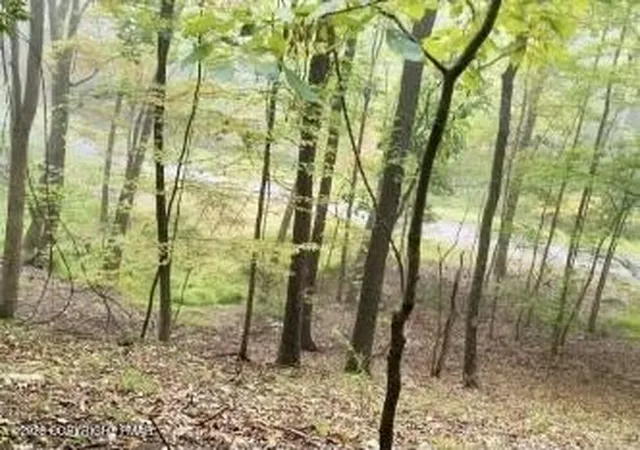 Photo 3 of Land for sale at Lot 11 Autumn Ct, East Stroudsburg, PA 18302 | MLS# PM-143138 | Listing updated on 2026-07-23