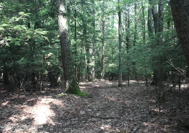 Photo 4 of Sale Pending at Turkey Ridge Dr 12, Kunkletown, PA 18058 | MLS# PM-143168 | Listing updated on 2026-09-04