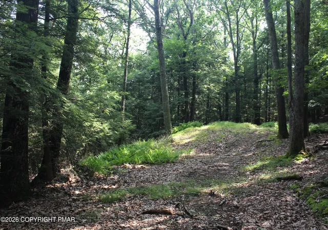 Photo 5 of Sale Pending at Turkey Ridge Dr 12, Kunkletown, PA 18058 | MLS# PM-143168 | Listing updated on 2026-09-04