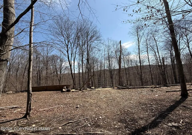 Photo 2 of Land for sale at Blum Rd, Equinunk, PA 18417 | MLS# PM-143190 | Listing updated on 2026-07-30