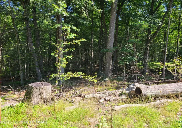 Photo 2 of Land for sale at Lot 87 Sunfish Ct, Canadensis, PA 18325 | MLS# PM-143240 | Listing updated on 2026-07-22