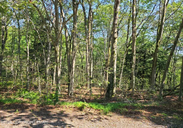 Photo 2 of Land for sale at Lot 23r Lakewood Ct, Canadensis, PA 18325 | MLS# PM-143243 | Listing updated on 2026-07-22