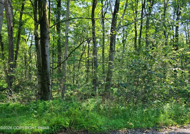 Photo 3 of Land for sale at Lot 23r Lakewood Ct, Canadensis, PA 18325 | MLS# PM-143243 | Listing updated on 2026-07-22