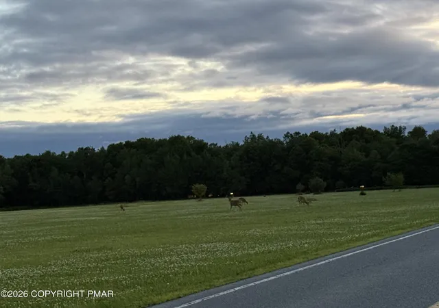 Photo 1 of Land for sale at 621 Overlook Terr 621 Ter, Albrightsville, PA 18210 | MLS# PM-143219 | Listing updated on 2026-07-21