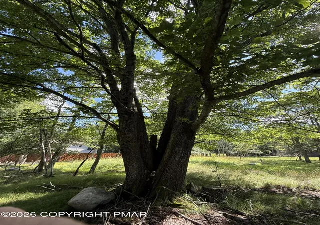 Photo 3 of Land for sale at 621 Overlook Terr 621 Ter, Albrightsville, PA 18210 | MLS# PM-143219 | Listing updated on 2026-07-21