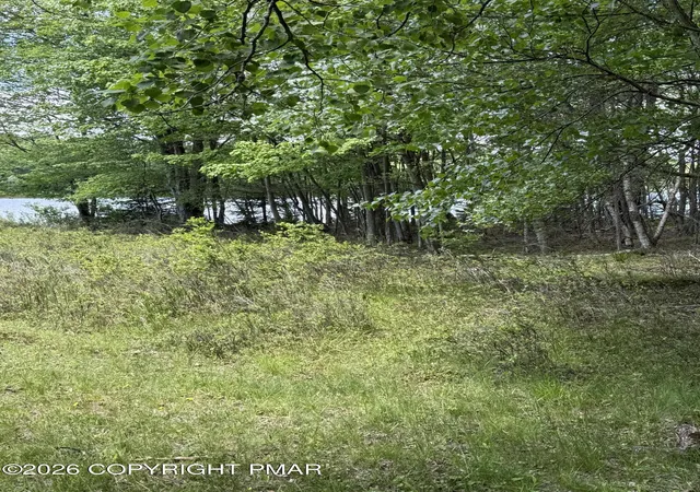 Photo 3 of Land for sale at N Arrow Dr, Pocono Lake, PA 18347 | MLS# PM-143253 | Listing updated on 2026-09-16