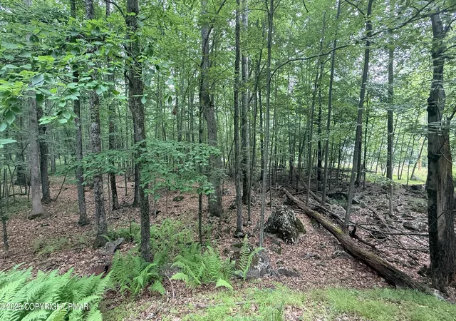 Photo 5 of Land for sale at 111 Lake View Cir, Hawley, PA 18428 | MLS# PM-143291 | Listing updated on 2026-07-23