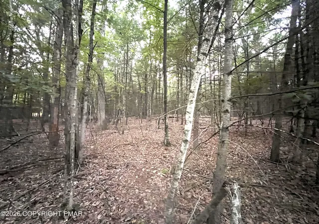 Photo 1 of Land for sale at 1 Arlene Dr, Effort, PA 18330 | MLS# PM-143382 | Listing updated on 2026-07-31