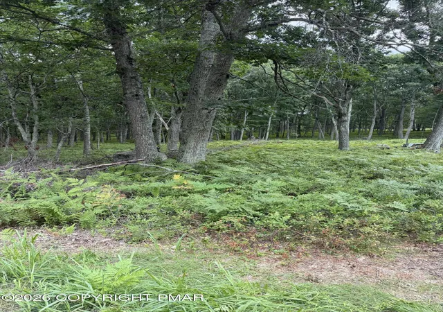 Photo 1 of Land for sale at Lot 28 Snowshoe Ct, Bushkill, PA 18324 | MLS# PM-143422 | Listing updated on 2026-07-28