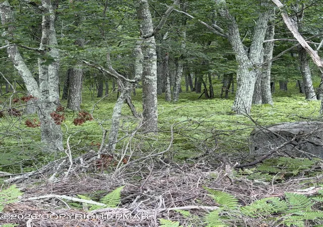 Photo 2 of Land for sale at Lot 28 Snowshoe Ct, Bushkill, PA 18324 | MLS# PM-143422 | Listing updated on 2026-07-28