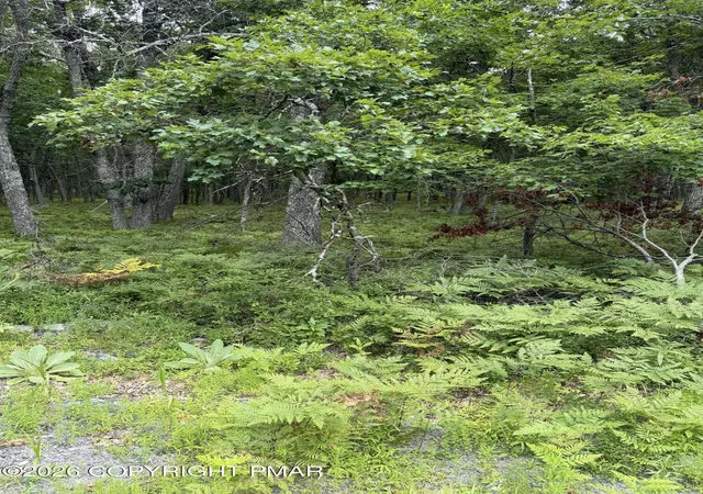 Photo 3 of Land for sale at Lot 28 Snowshoe Ct, Bushkill, PA 18324 | MLS# PM-143422 | Listing updated on 2026-07-28