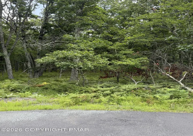 Photo 4 of Land for sale at Lot 28 Snowshoe Ct, Bushkill, PA 18324 | MLS# PM-143422 | Listing updated on 2026-07-28