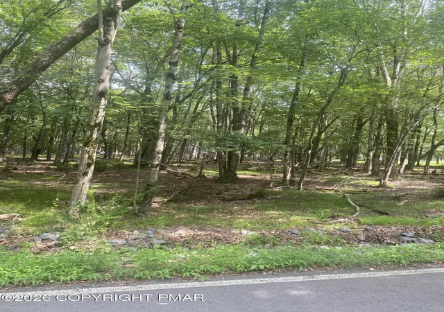 Photo 13 of Land for sale at Lot 770 Tink Wig Dr, Hawley, PA 18428 | MLS# PM-143430 | Listing updated on 2026-07-31