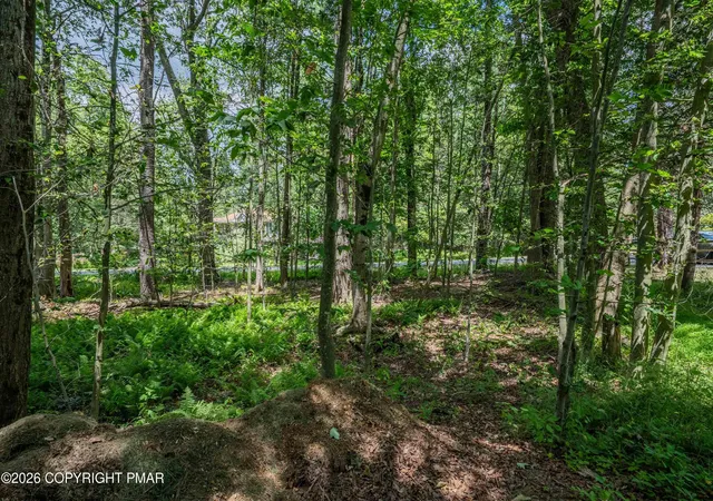 Photo 3 of Land for sale at Beechwood Rd 5, Blakeslee, PA 18610 | MLS# PM-143463 | Listing updated on 2026-08-11