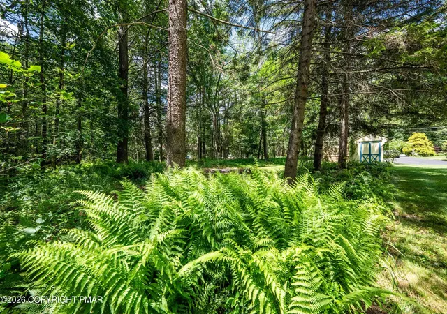 Photo 4 of Land for sale at Beechwood Rd 5, Blakeslee, PA 18610 | MLS# PM-143463 | Listing updated on 2026-08-11