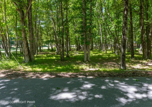 Photo 3 of Land for sale at Mountain Rd, Albrightsville, PA 18210 | MLS# PM-143488 | Listing updated on 2026-07-31