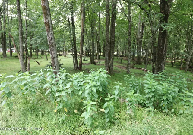 Photo 3 of Land for sale at Long Brk Way & Woodland Rd, Albrightsville, PA 18210 | MLS# PM-143500 | Listing updated on 2026-07-30