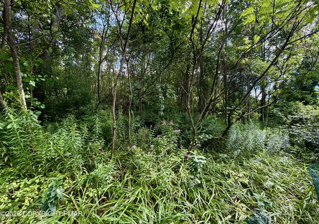 Photo 1 of Land for sale at Stock St, Nesquehoning, PA 18240 | MLS# PM-143519 | Listing updated on 2026-07-30