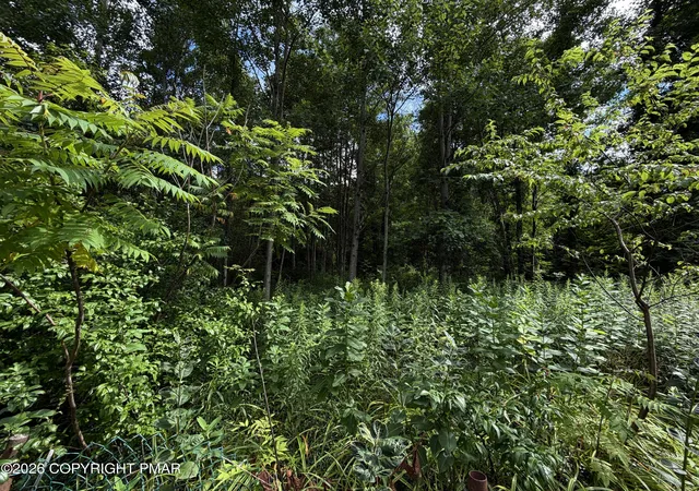 Photo 2 of Land for sale at Stock St, Nesquehoning, PA 18240 | MLS# PM-143519 | Listing updated on 2026-07-30