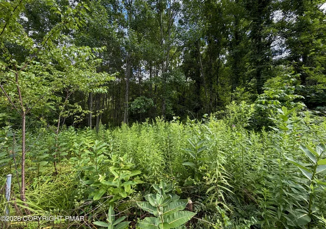 Photo 3 of Sale Pending at Stock St, Nesquehoning, PA 18240 | MLS# PM-143519 | Listing updated on 2026-09-14