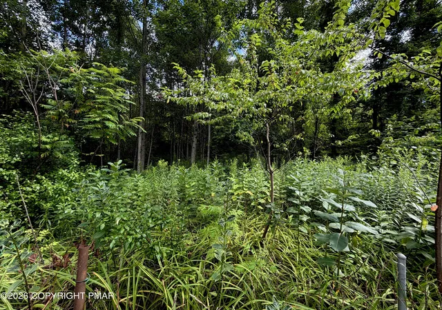 Photo 4 of Sale Pending at Stock St, Nesquehoning, PA 18240 | MLS# PM-143519 | Listing updated on 2026-09-14